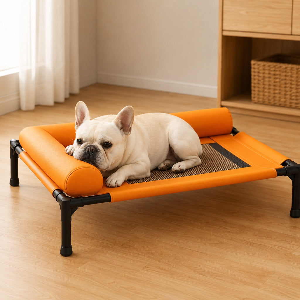 Breathable mesh raised dog bed for cooler indoor naps