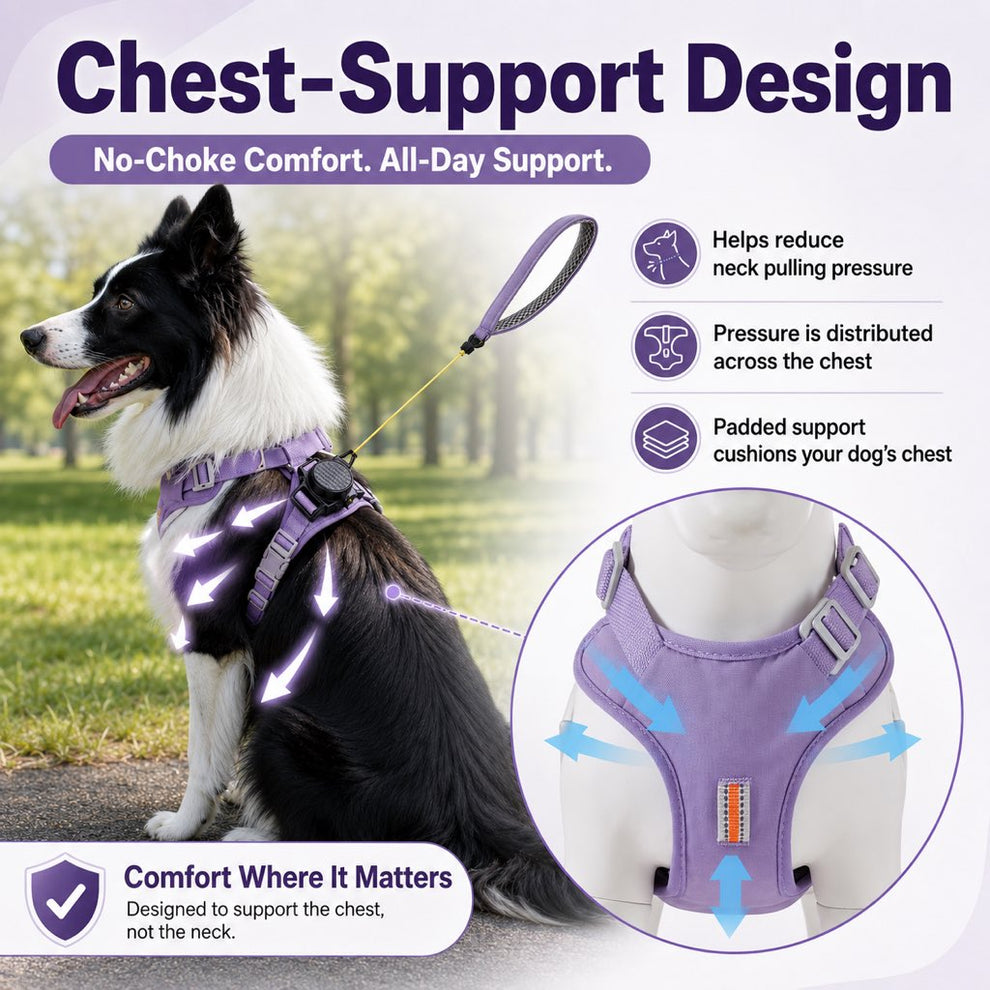 Paws in Awe 2-in-1 Retractable Dog Harness for Daily Walks - Built-In Leash Vest with Auto-Stop Control for Small & Medium Dogs image 5