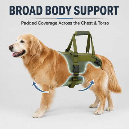 Broad body support dog lift harness with chest and torso coverage