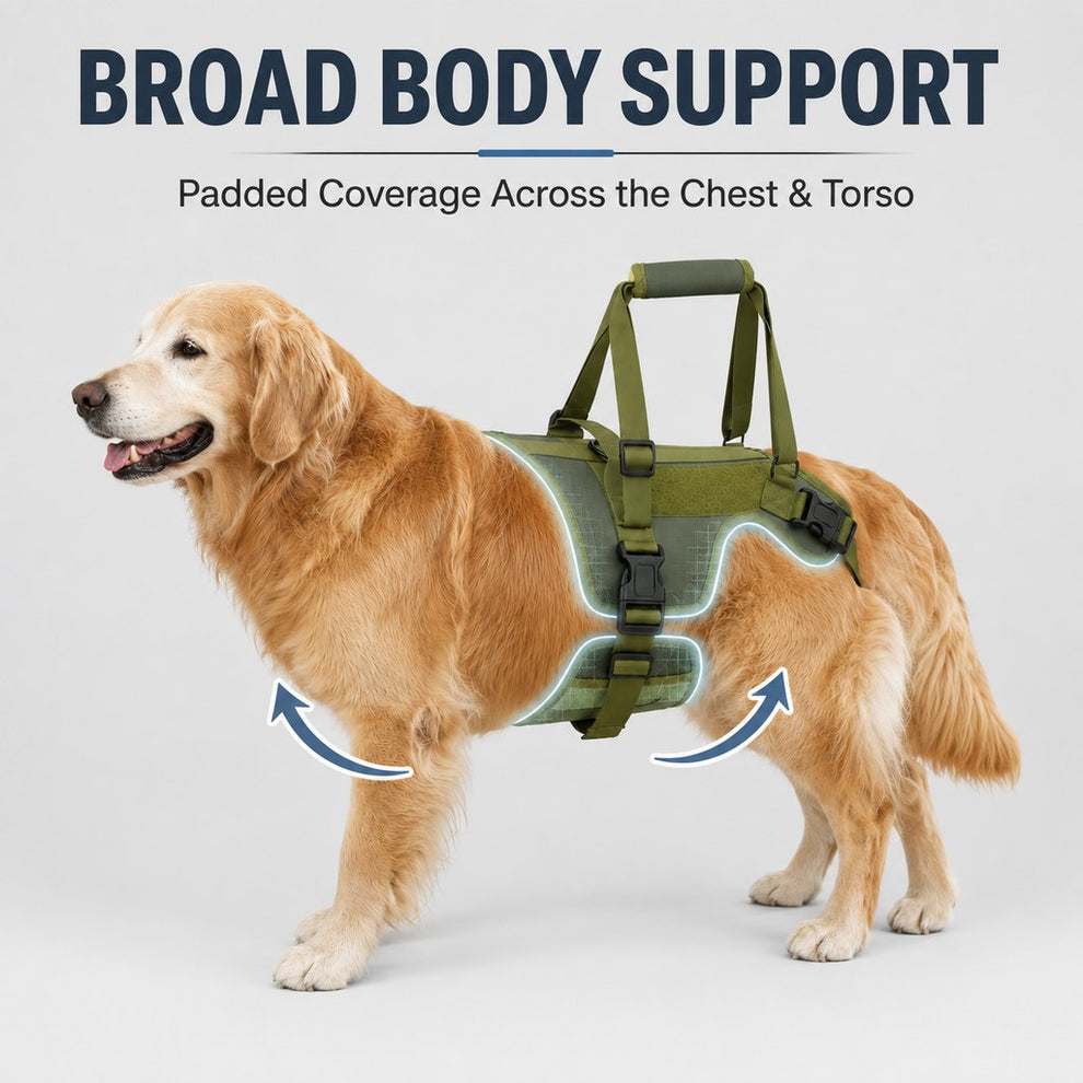 Broad body support dog lift harness with chest and torso coverage
