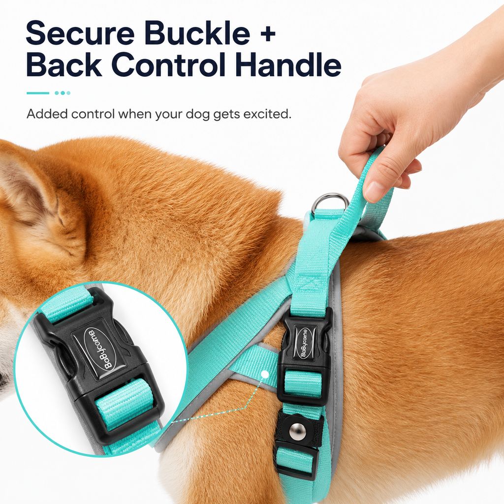 Paws in Awe Quick-Fit Lightweight Dog Harness & Leash Set for Daily Walks - No-Choke Step-In Comfort with Secure Buckle & Back Control Handle image 7