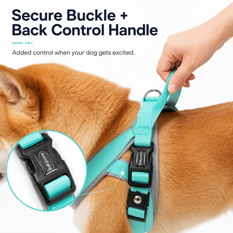 Paws in Awe Quick-Fit Lightweight Dog Harness & Leash Set for Daily Walks - No-Choke Step-In Comfort with Secure Buckle & Back Control Handle image 7
