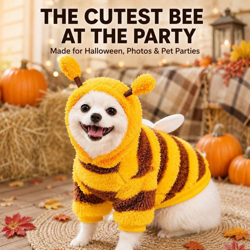 Paws in Awe Bumblebee Dog Costume for Small Dogs - Warm Plush Winter Outfit for Halloween, Photos & Chilly Days image 2