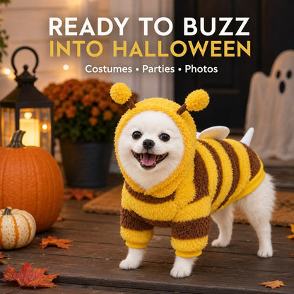 Small dog wearing yellow and brown bee costume
