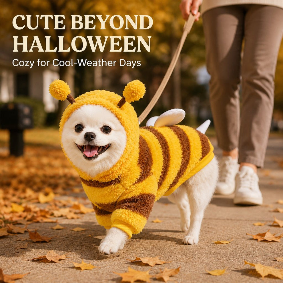 Cozy plush bee dog hoodie for Halloween photos