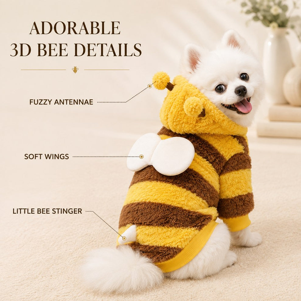 Bumblebee dog fleece outfit for cold weather walks