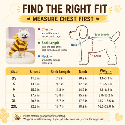 Bumblebee dog clothes for fall walks and parties