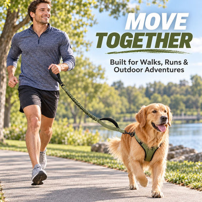 Shock-absorbing bungee dog leash used for jogging with a dog