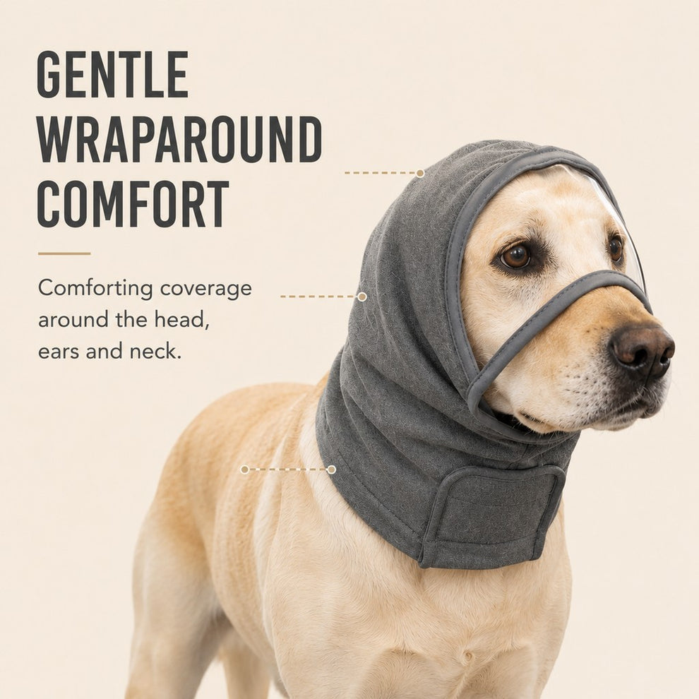 Paws in Awe Calming Dog Hood with Clear Viewing Panel, Gentle Head & Neck Wrap for Grooming, Thunderstorms, Fireworks & Travel Comfort image 4