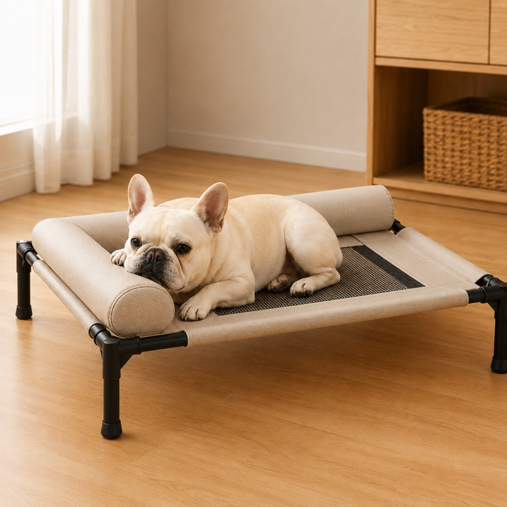 Carbon steel frame raised pet bed for indoor use