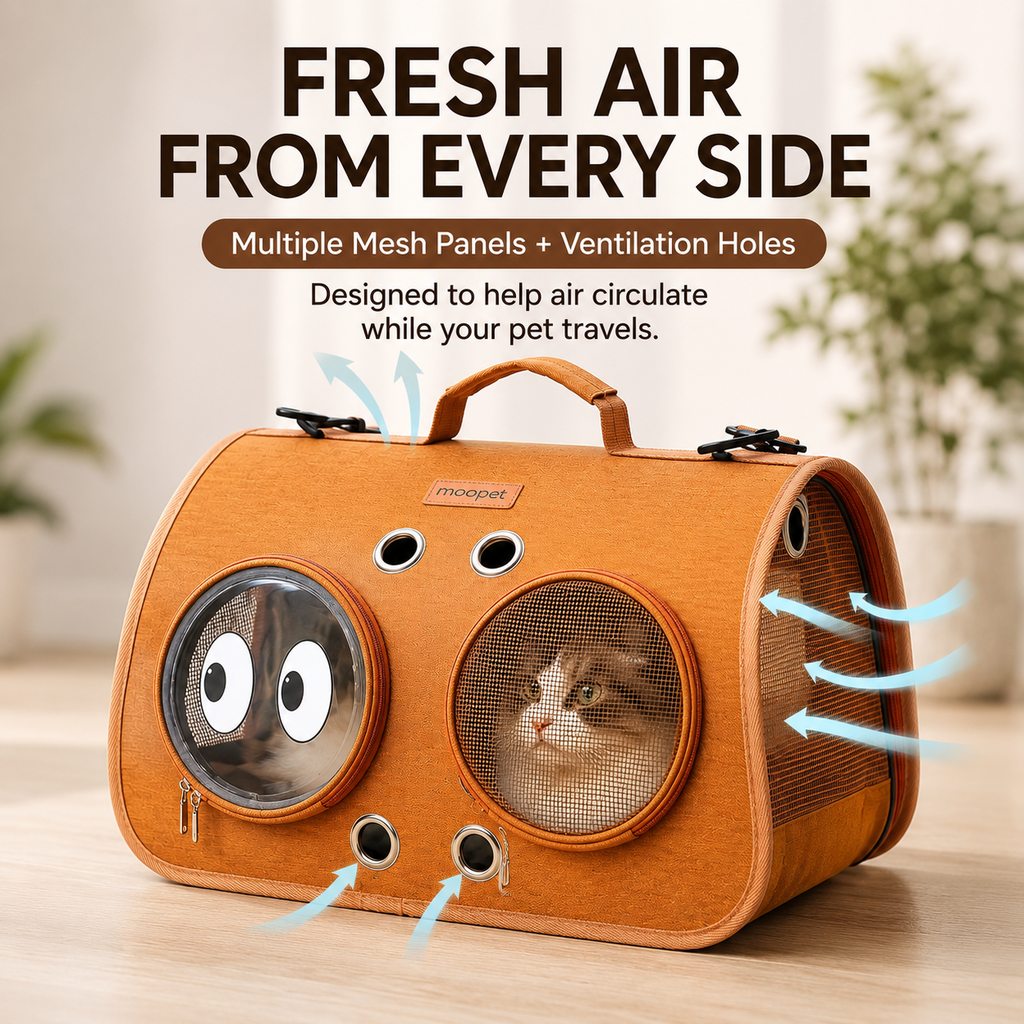 Paws in Awe Breathable Cat Travel Carrier for Road Trips & Vet Visits - Structured Foldable Soft-Sided Pet Bag image 4