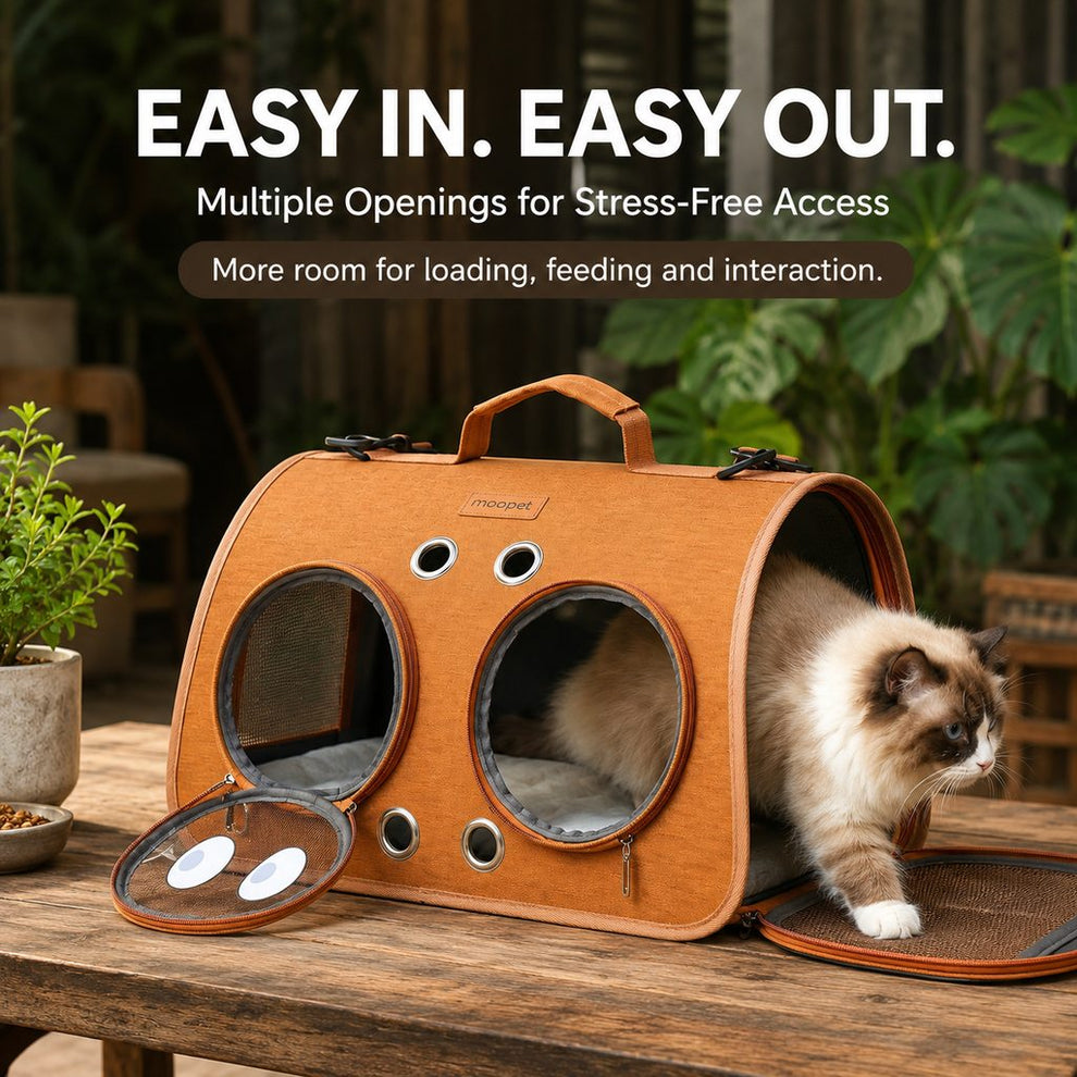 Paws in Awe Breathable Cat Travel Carrier for Road Trips & Vet Visits - Structured Foldable Soft-Sided Pet Bag image 3