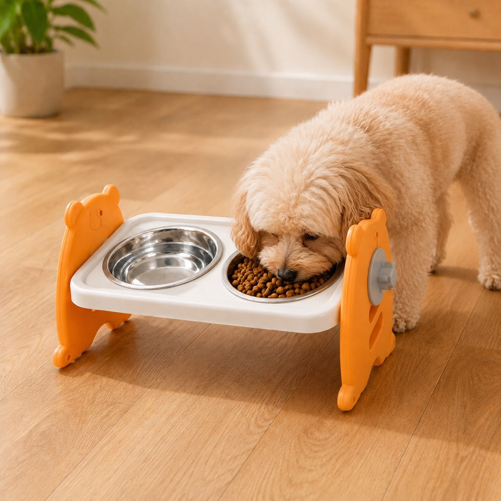 Cat elevated feeding bowl for indoor mealtime