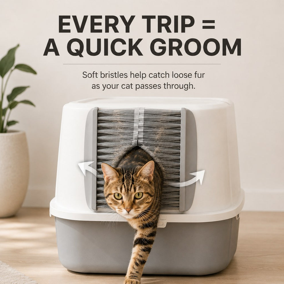 Paws in Awe Cat Litter Box Self-Grooming Brush Door – Automatic Loose Fur Catcher for Enclosed Litter Boxes & Cleaner Homes, 2-Piece Set image 4