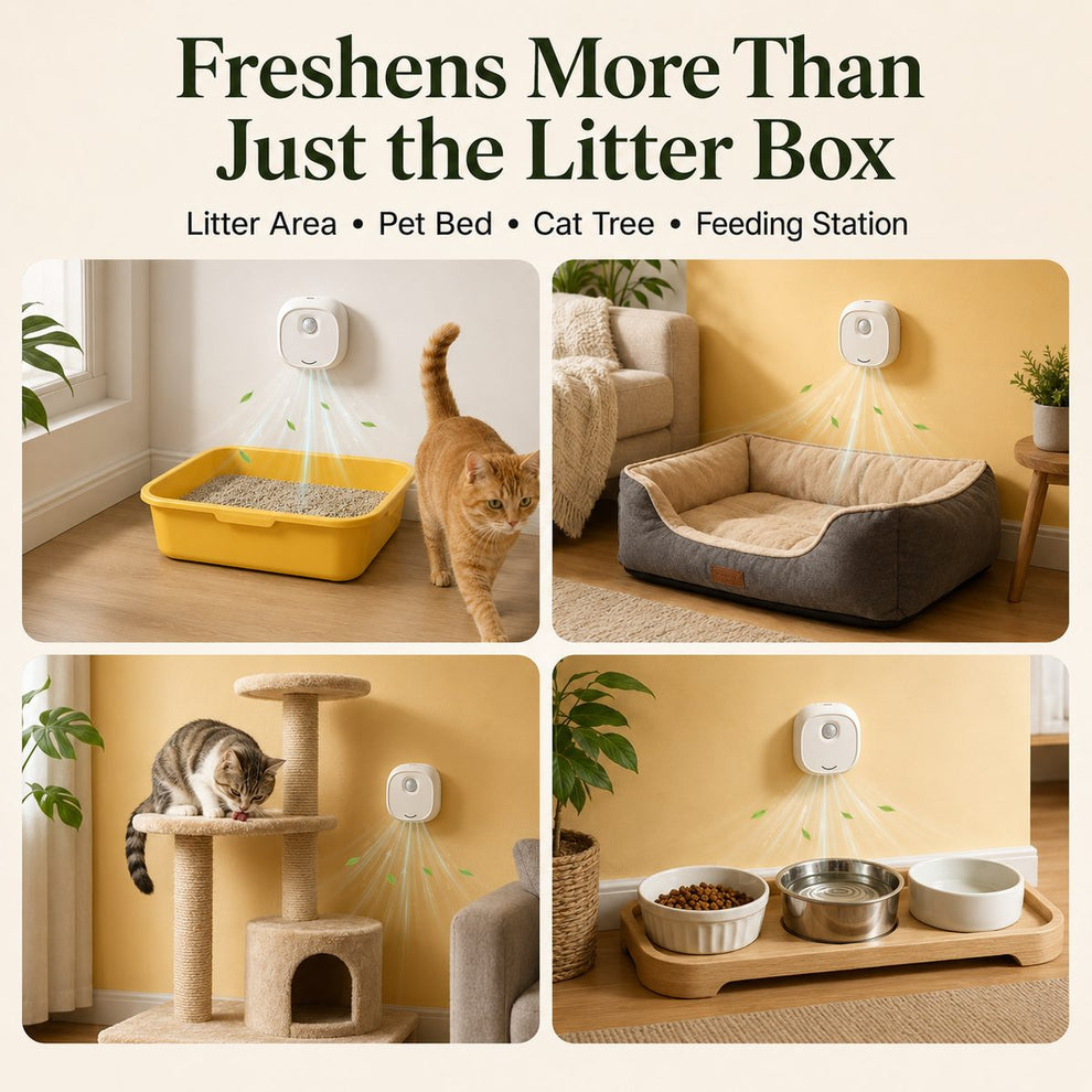 Cat litter deodorizer helps freshen litter area, pet bed, cat tree, and feeding station spaces.