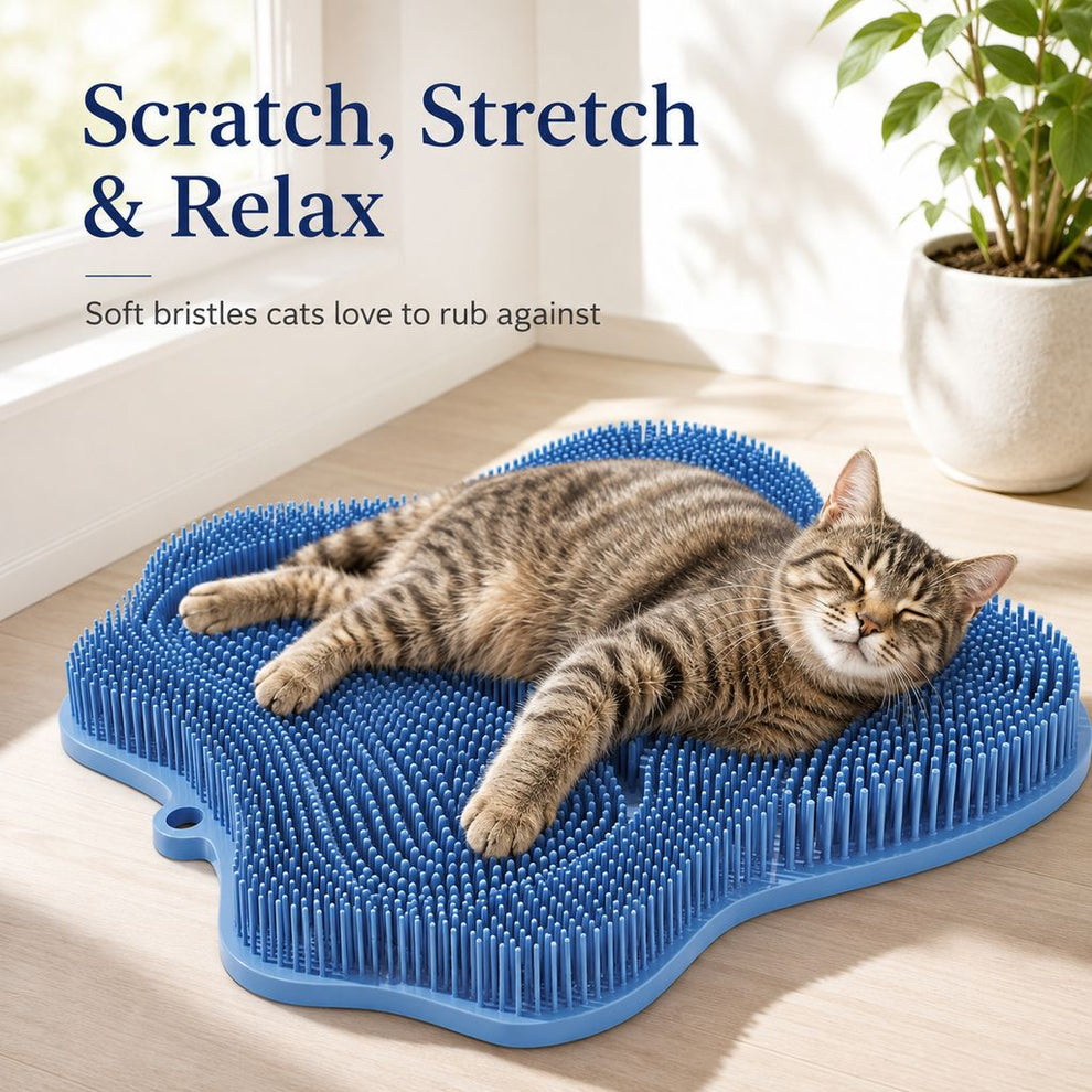 Paws in Awe Soft TPR Cat Scratch & Massage Mat for Indoor Cats – Sofa-Saving Pad for Scratching, Stretching & Rubbing image 3