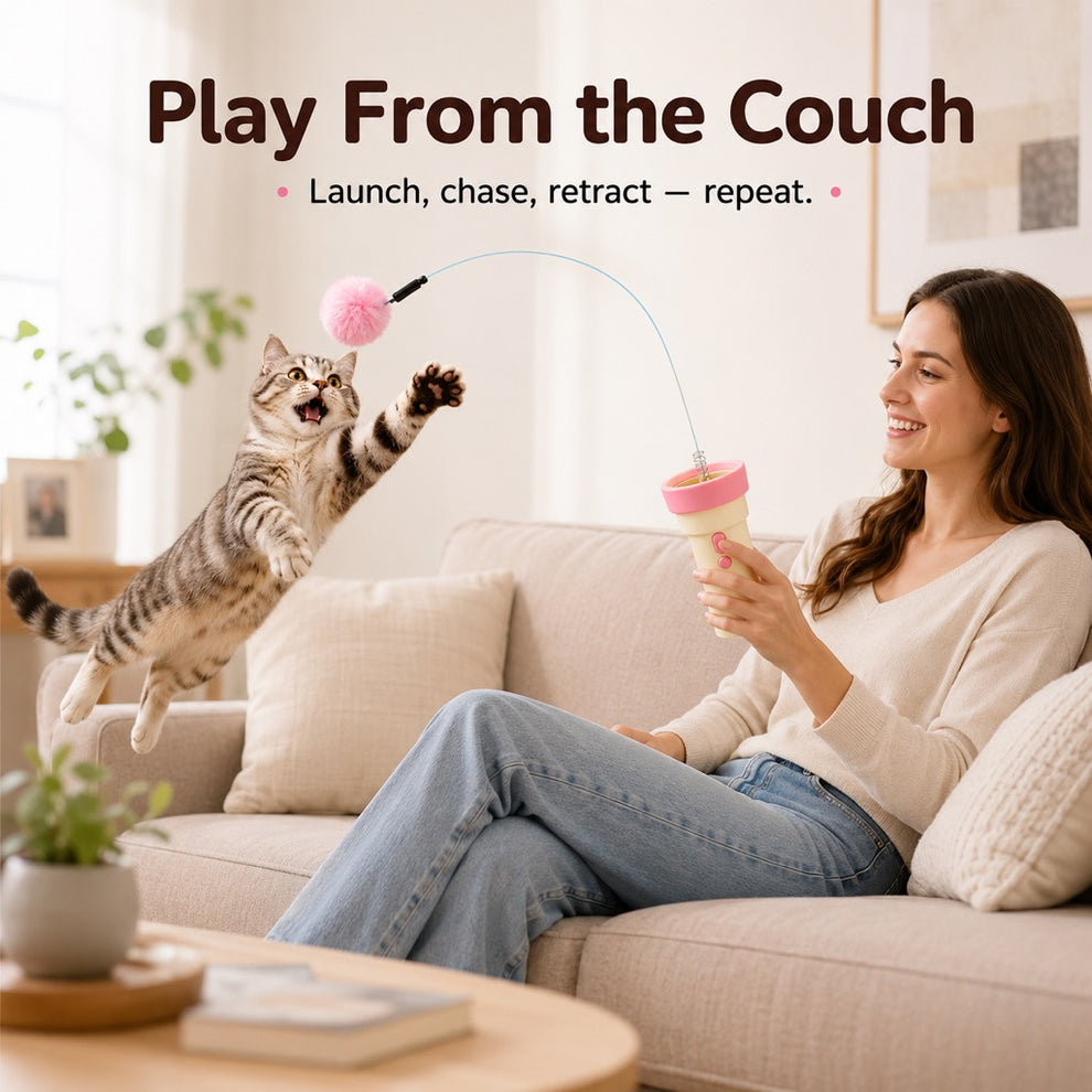 Paws in Awe One-Click Electric Cat Teaser Launcher for Indoor Cats - Chase & Pounce Play Without Constant Wand Waving image 3
