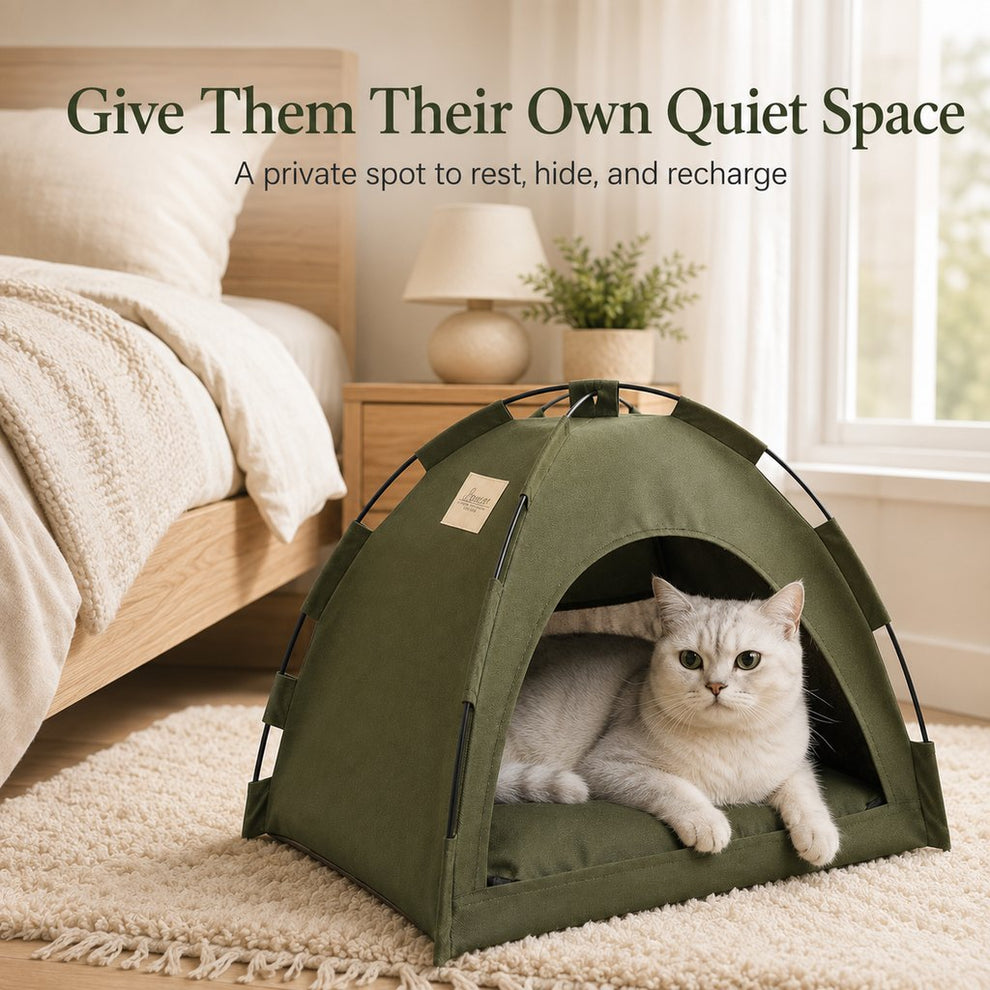 Paws in Awe Cozy Foldable Cat Tent Bed for Apartment Naps - Breathable Hideaway with Removable Cushion image 2