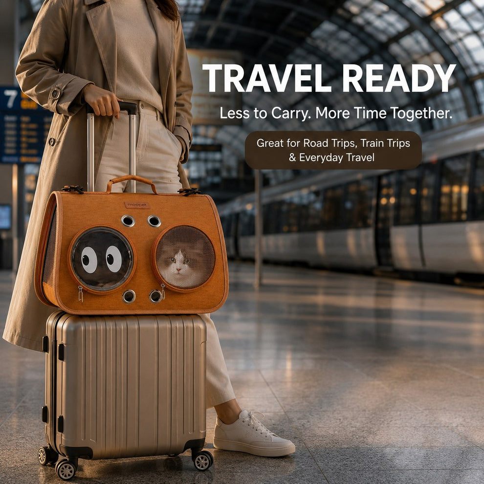 Paws in Awe Breathable Cat Travel Carrier for Road Trips & Vet Visits - Structured Foldable Soft-Sided Pet Bag image 1