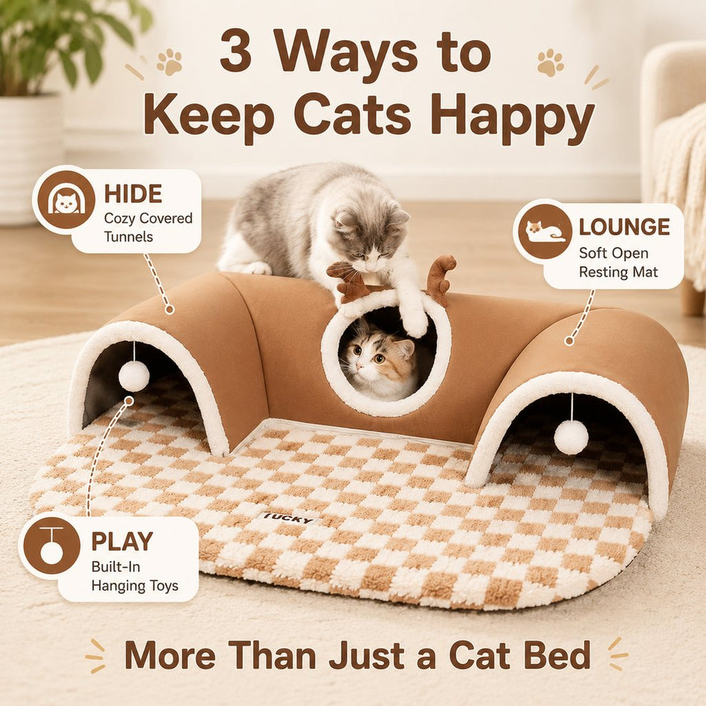 Paws in Awe 3-in-1 Multi-Cat Tunnel Bed & Play Mat for Indoor Cats - Spacious Cozy Hideaway for Shared Rest, Play & Less Bed Competition image 4