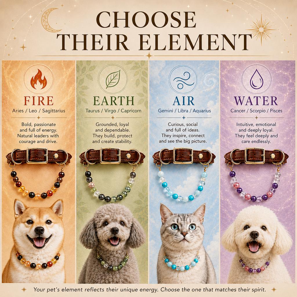 Choose their element astrology pet collar guide