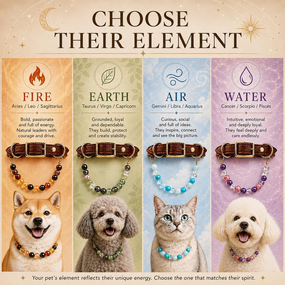 Choose their element astrology pet collar guide