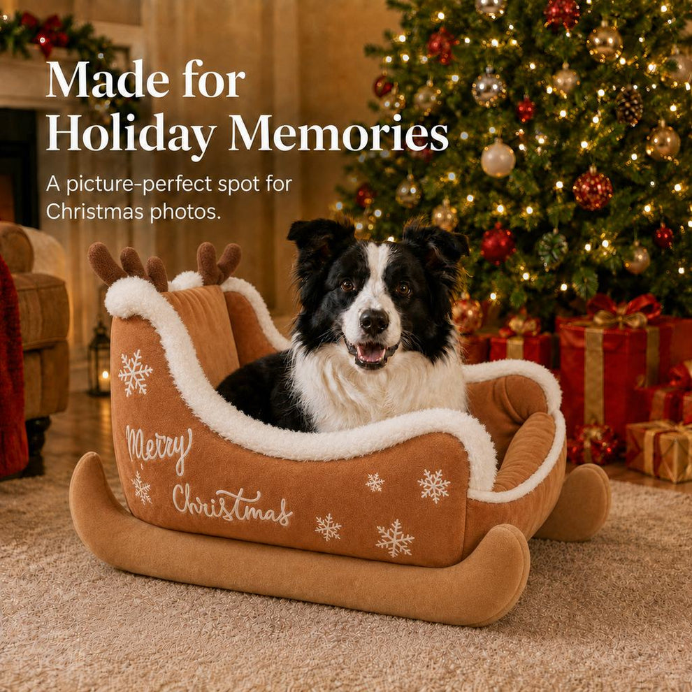 Christmas sleigh dog bed for holiday pet photos