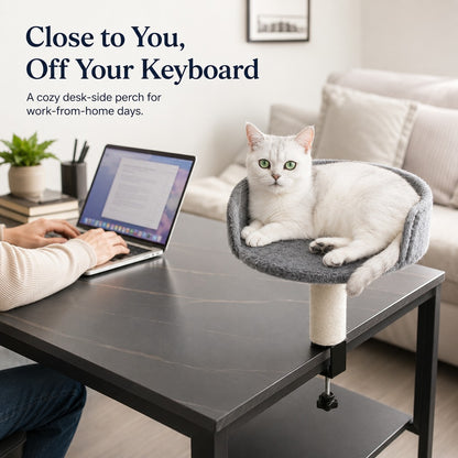 Paws in Awe Clamp-On Cat Perch for Home Office Desks - Space-Saving Cat Bed with Sisal Scratching Post image 3