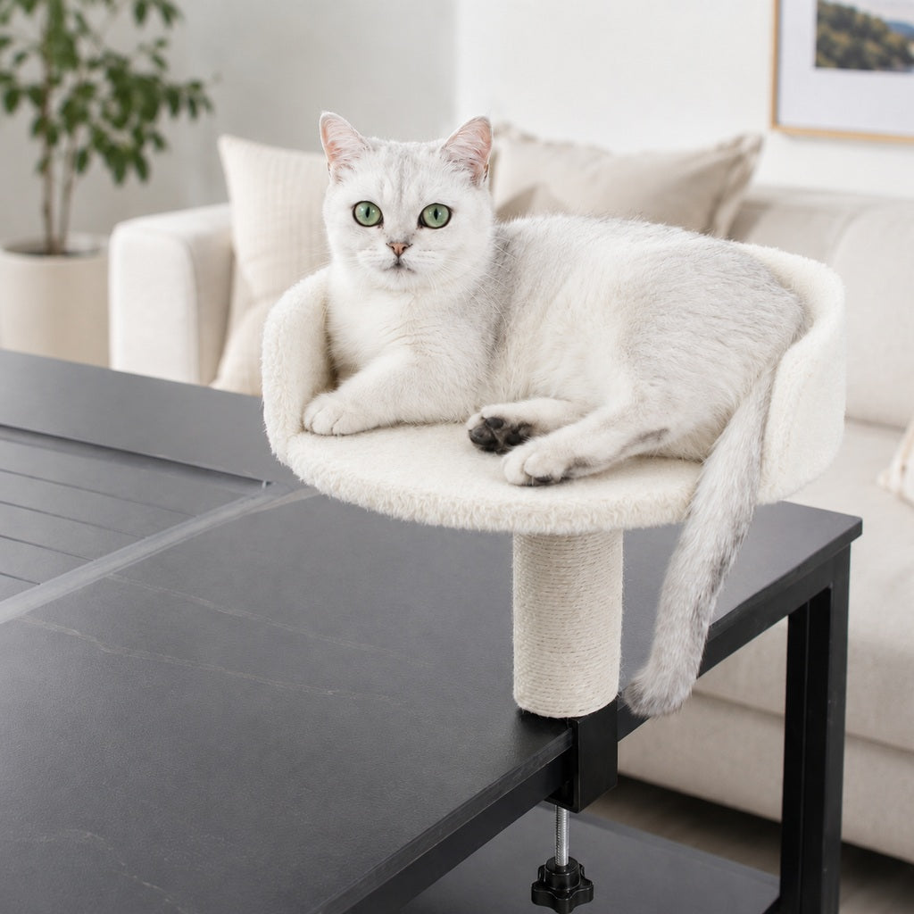 Paws in Awe Clamp-On Cat Perch for Home Office Desks - Space-Saving Cat Bed with Sisal Scratching Post image 10
