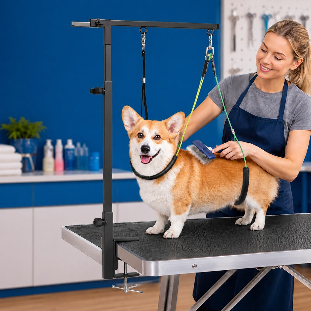 Paws in Awe Clamp-On Pet Grooming Arm for Bathing & Trimming, Foldable Dual Support Holder for Small & Medium Dogs image 1