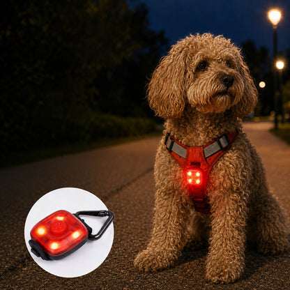 Paws in Awe Clip-On Pet Safety Light for Night Walks - Helps Dogs & Cats Stay Visible After Dark image 1