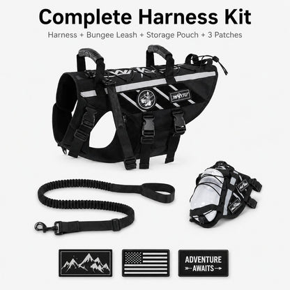 Outdoor dog harness and bungee leash set for walking and hiking