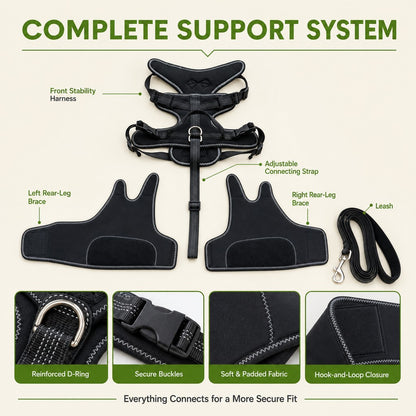 Paws in Awe Dual Rear Leg Dog Support Brace with Harness - Walking Stability for Weak Hind Legs image 8