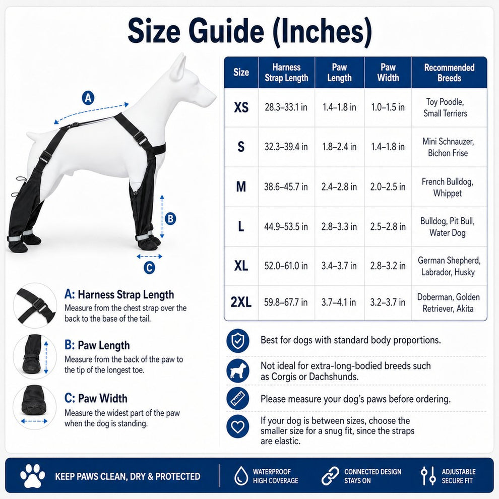 Paws in Awe 4-in-1 Connected Dog Boots for Rainy Walks - Water-Resistant Paw & Leg Protection for Mud & Dirt image 9