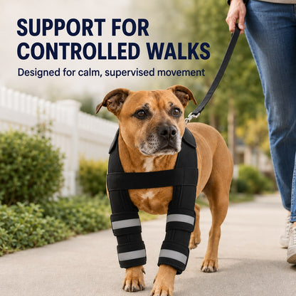 Double front leg support brace for controlled walks