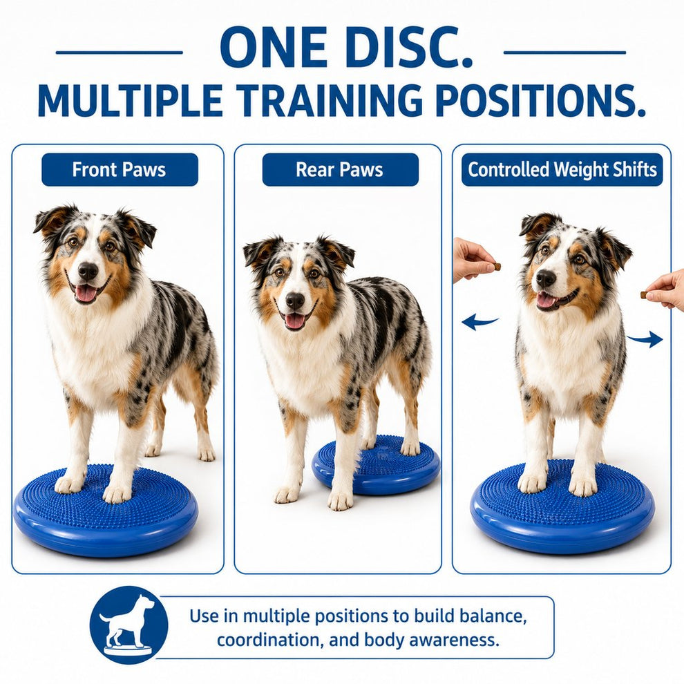 Controlled weight shift dog training disc