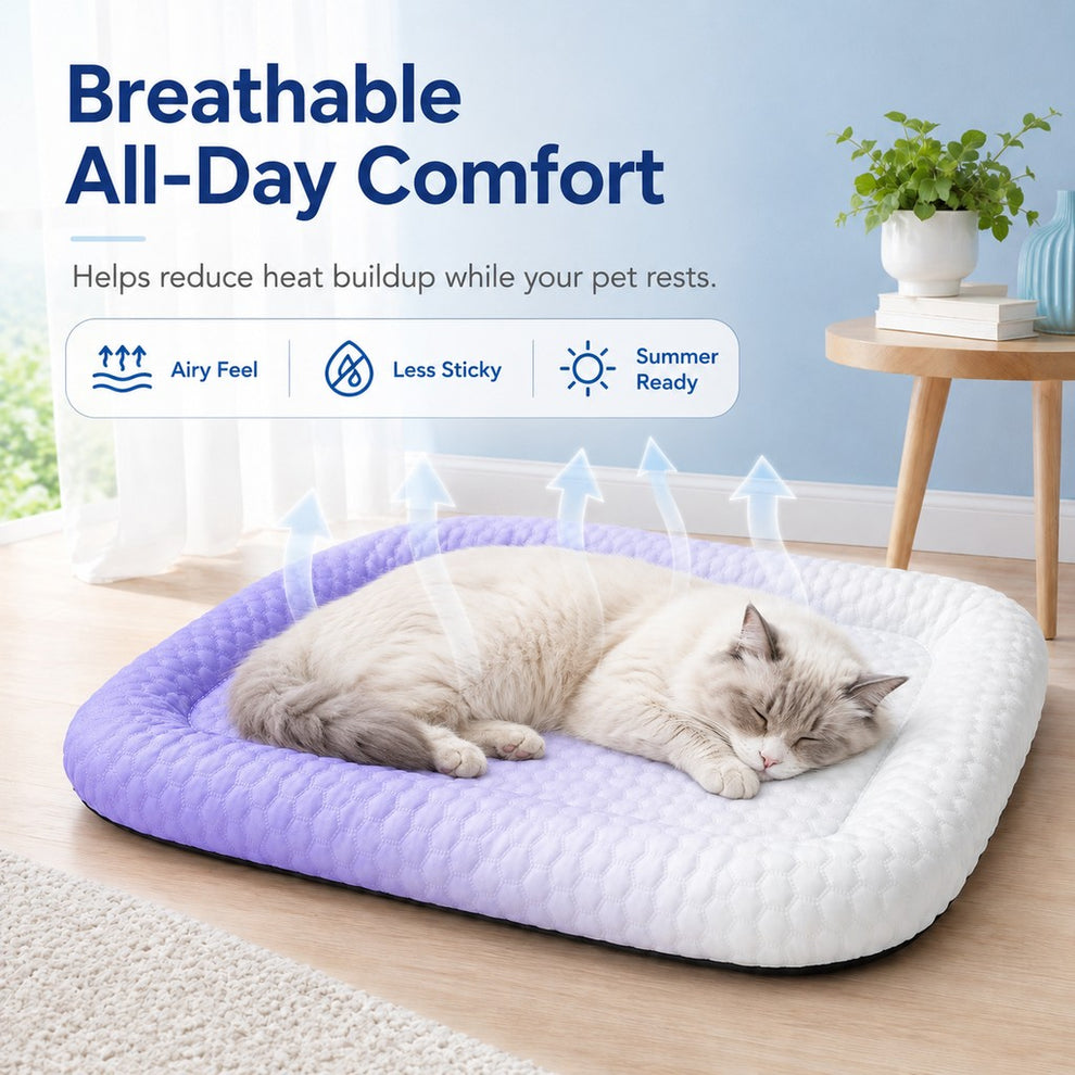 Paws in Awe Cool-Touch Gradient Pet Cooling Bed for Summer Naps - Breathable Bolster Rest Mat for Cats & Small Dogs image 2