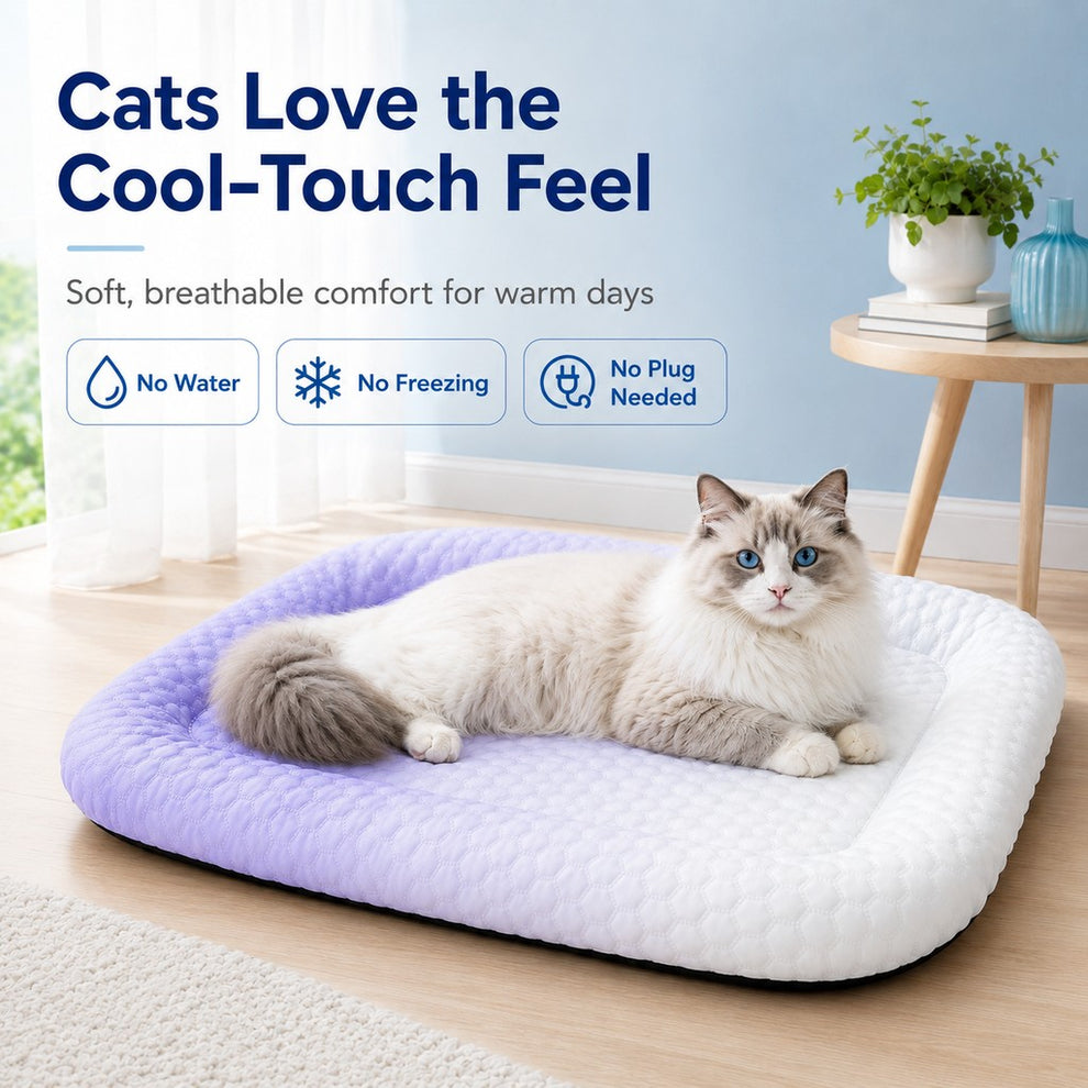 Paws in Awe Cool-Touch Gradient Pet Cooling Bed for Summer Naps - Breathable Bolster Rest Mat for Cats & Small Dogs image 5