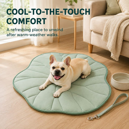 Cool-touch lotus leaf pet mat for warm days