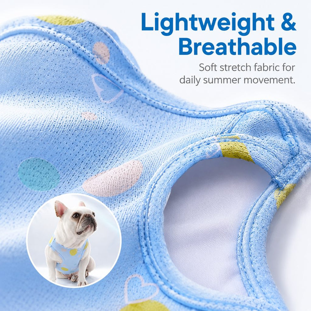 Blue wet to cool dog vest for French Bulldogs and pugs