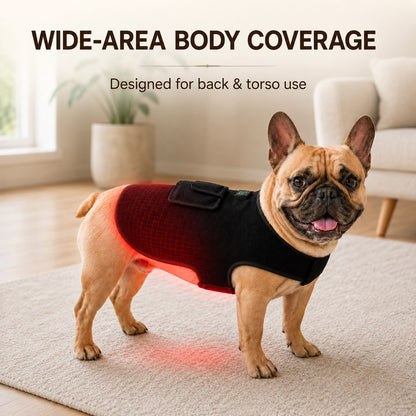 Cordless rechargeable pet red and near-infrared light wrap