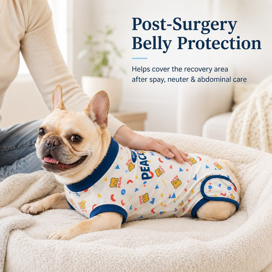 Paws in Awe Dog Recovery Suit for Post-Surgery Belly Protection - Soft Cone Alternative Onesie for Spay, Neuter & Anti-Lick Care image 2