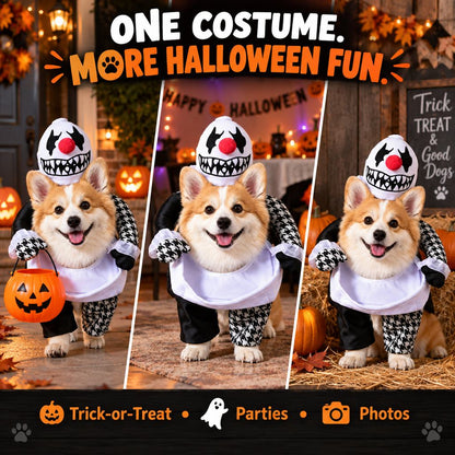 Photo-ready creepy clown dog costume for Halloween