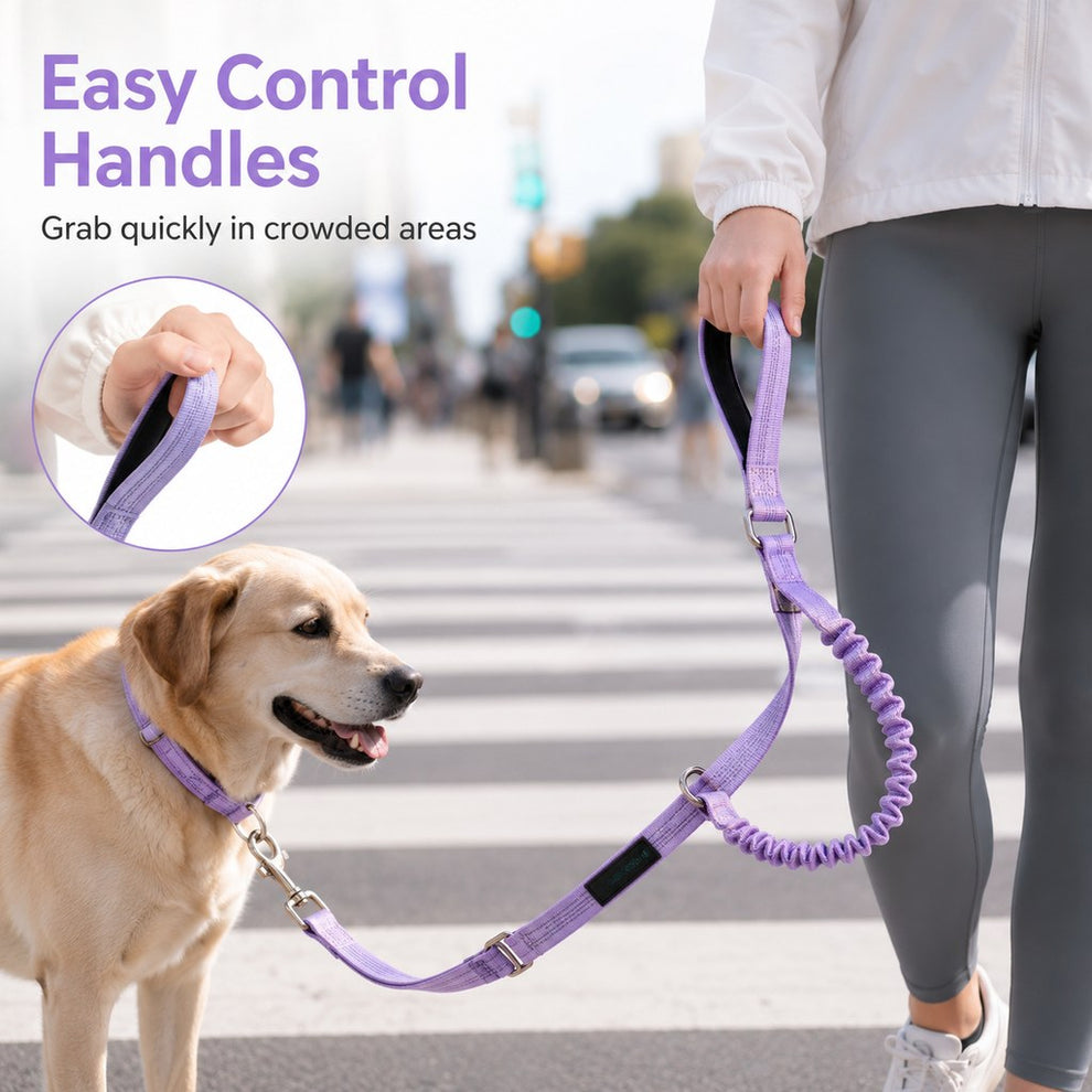 Paws in Awe Hands-Free Shock-Absorbing Dog Leash for Running, Walking & Car Travel - Bungee Leash Helps Reduce Pulling image 7