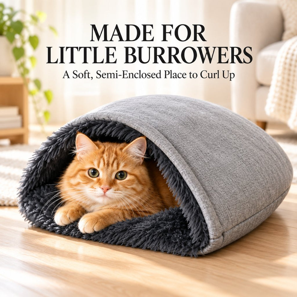 semi enclosed cat burrow bed for indoor cats