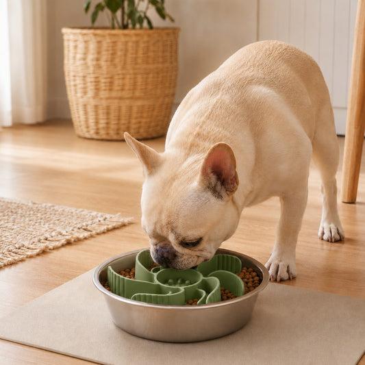 Paws in Awe Cut-to-Fit Slow Feeder Insert & Stainless Steel Bowl Set for Fast-Eating Dogs & Cats image 1