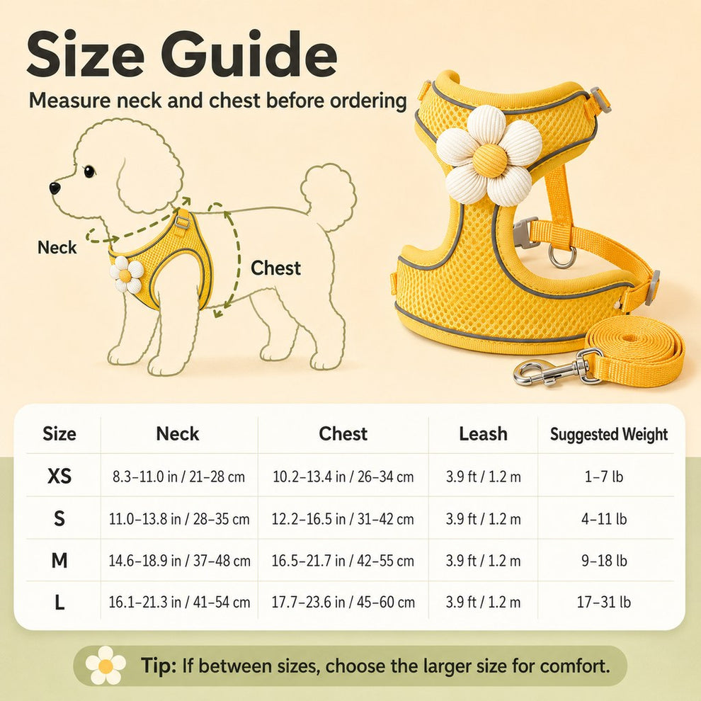 Paws in Awe Daisy Pet Harness & Leash Set for Daily Walks - Adjustable, Breathable Comfort for Small Dogs & Cats image 9