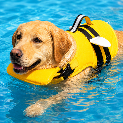 Paws in Awe High-Visibility Bee-Wing Dog Life Jacket with Chin Float & Rescue Handle for Pool, Lake & Boat Safety image 1