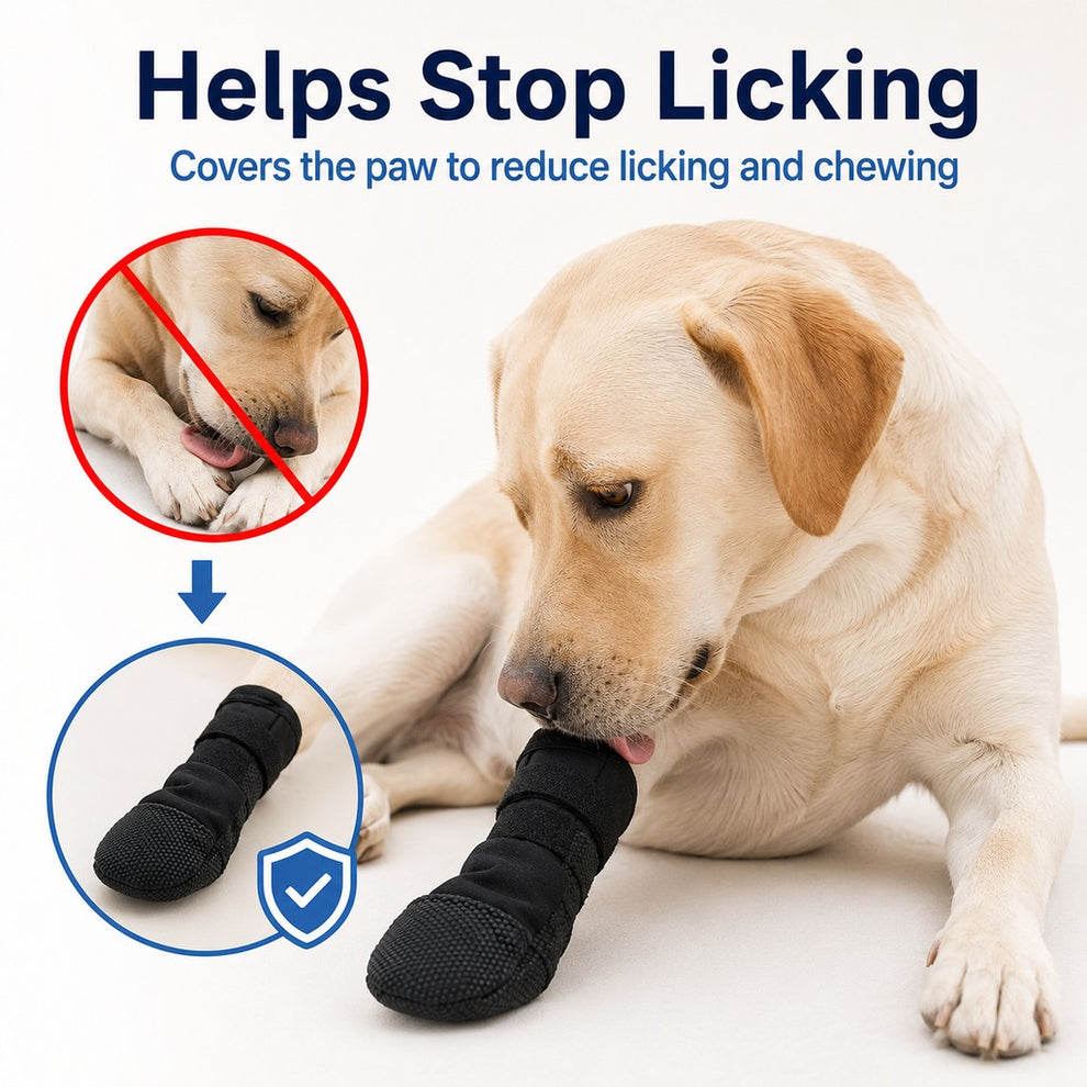 Paws in Awe Dog Paw Recovery Boot for Home Rest & Walks - Anti-Lick Protective Cover for Injured Paws image 4