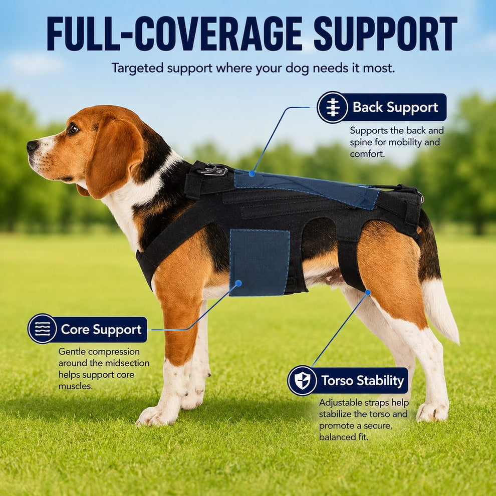 Paws in Awe Dog Back Support Brace for Senior & Recovering Dogs - Full-Body Mobility Vest for Walking Stability image 4